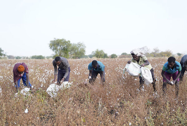 Ethiopian News Main Image
